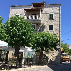 Morus Alba , Split Croatia